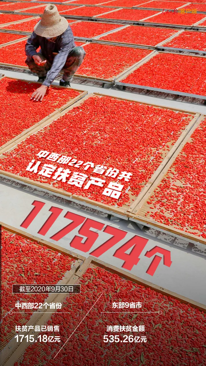 这张扶贫成绩单，很中国！(图7)